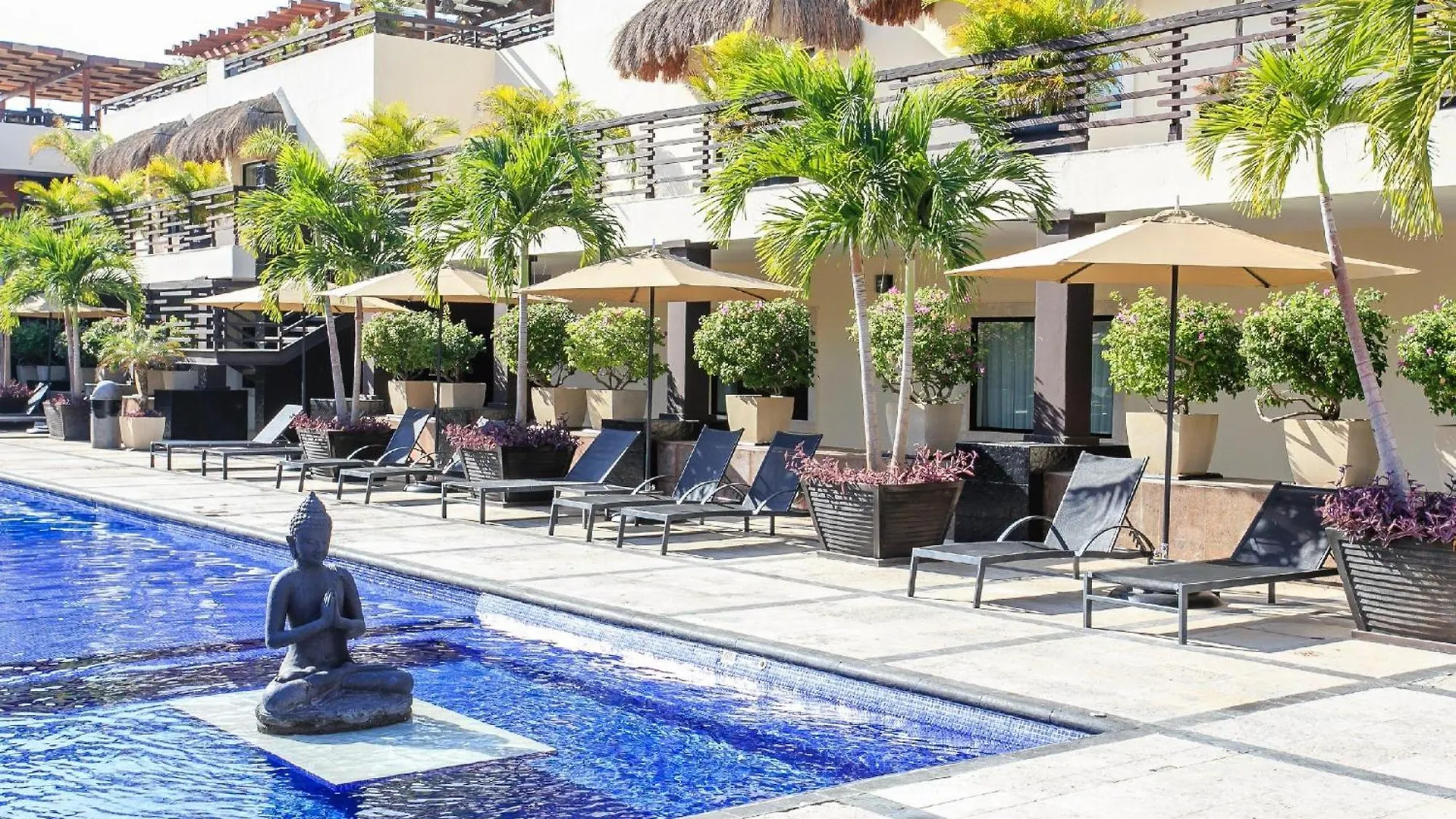 Ata01 Studio With Private Pool Facing The 26Th Street Playa del Carmen